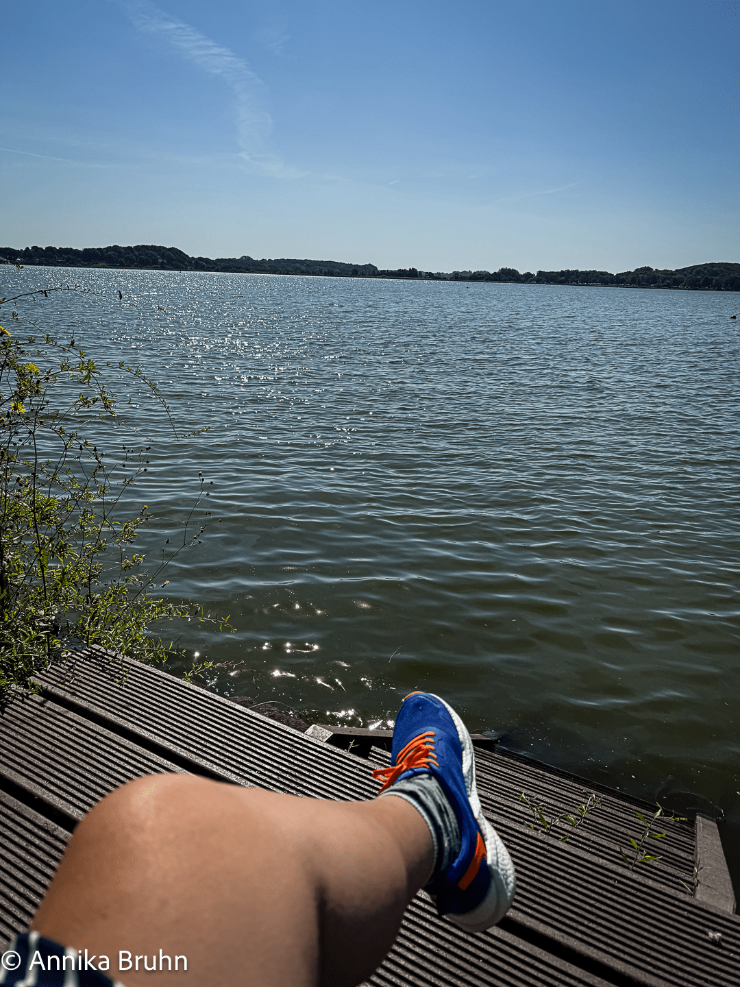 Schöne Aussicht auf die Schlei